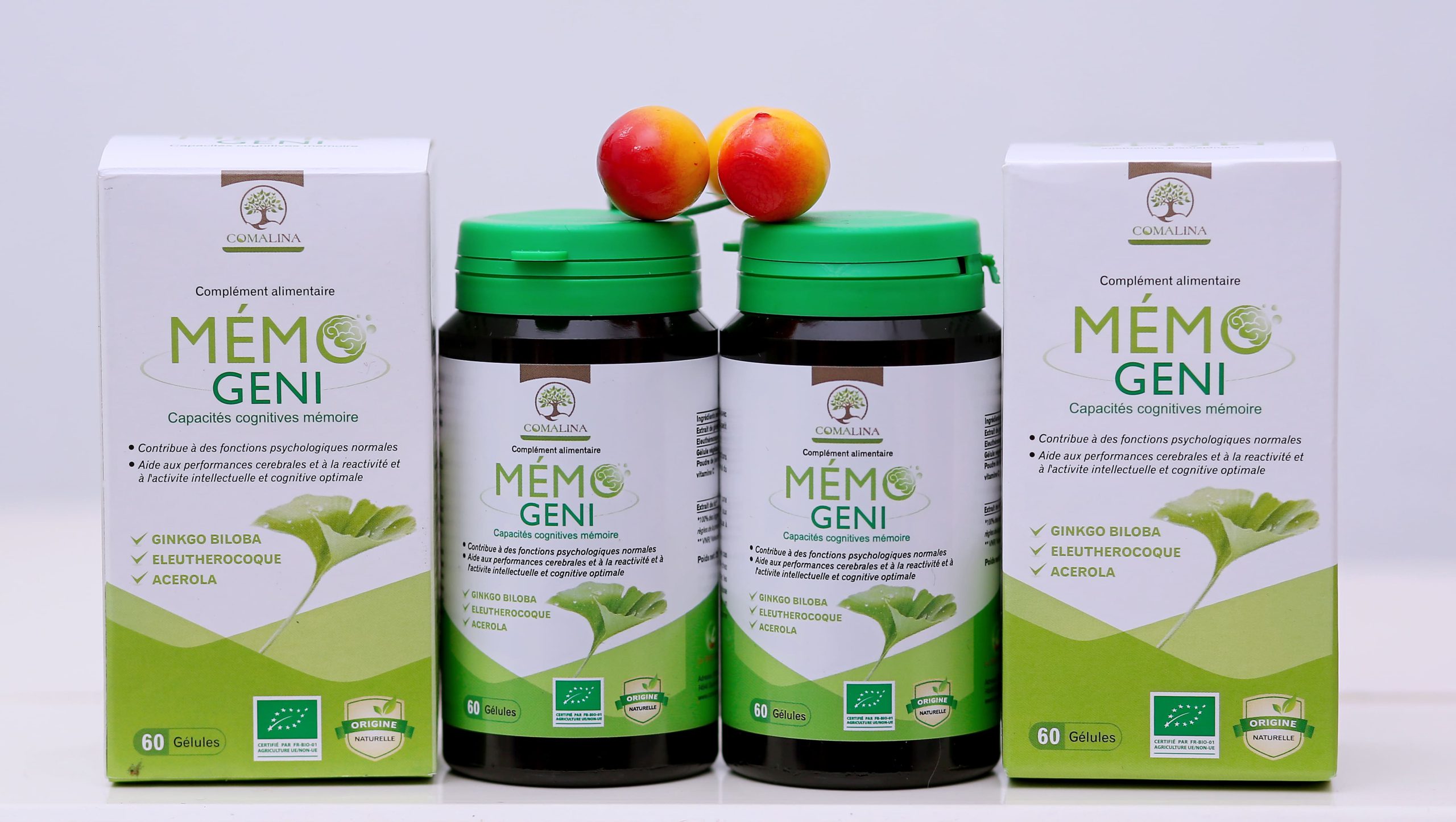 Ginkgo Biloba 