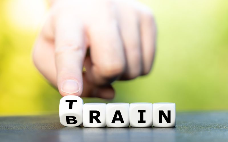 Cũng giống như các bộ phận khác của cơ thể, não bộ cũng cần được “tập thể dục” thường xuyên