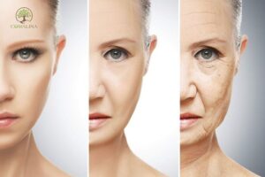 Do-tuoi-nao-can-bo-sung-collagen