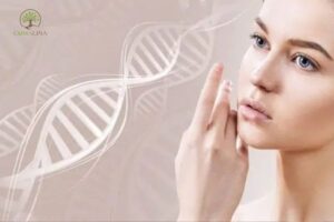 Tat-tan-tat-ve-collagen