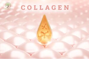 Tac-dung-phu-tiem-an-khi-bo-sung-collagen