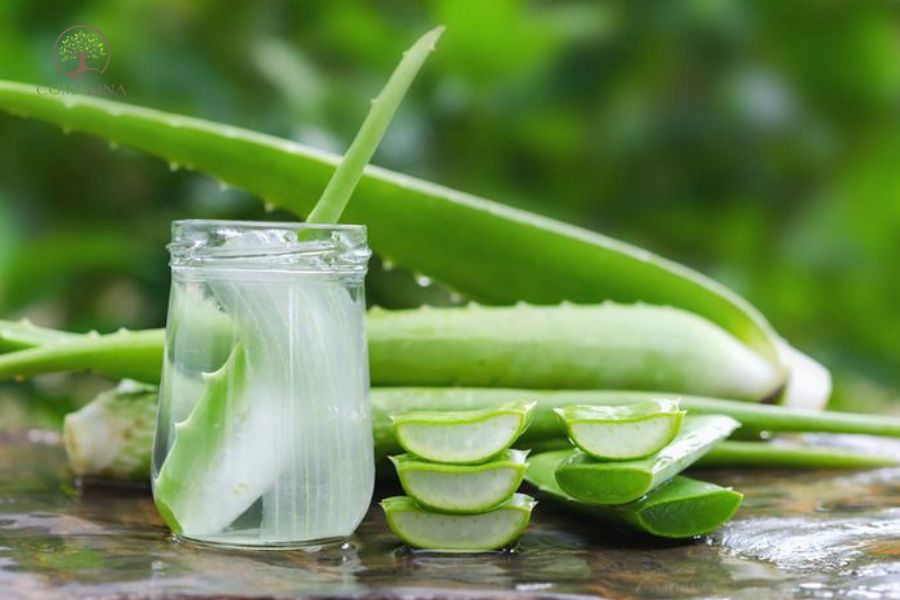 Uong-collagen-bao-lau-2