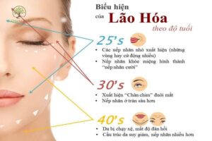 Uong-collagen-bao-lau-1