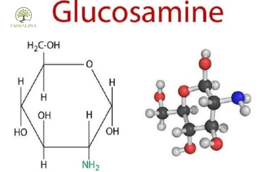 Glucosamine-giai-phap-ho-tro-xuong-khop-1