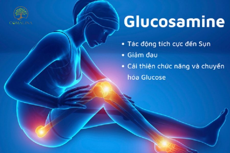 Glucosamine-giai-phap-ho-tro-xuong-khop-2