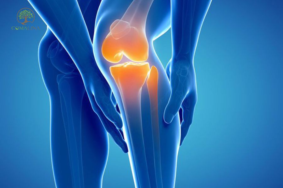 Glucosamine là gì?