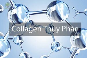 Collagen-thuy-phan-la-gi
