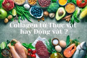collagen-tu-dong-vat-va-thuc-vat-1