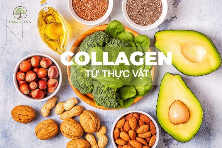 collagen-tu-dong-vat-va-thuc-vat-2
