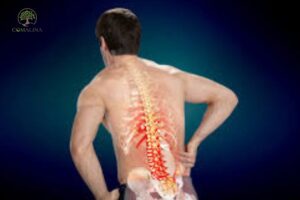 thoát vị đĩa đệm là gì?
