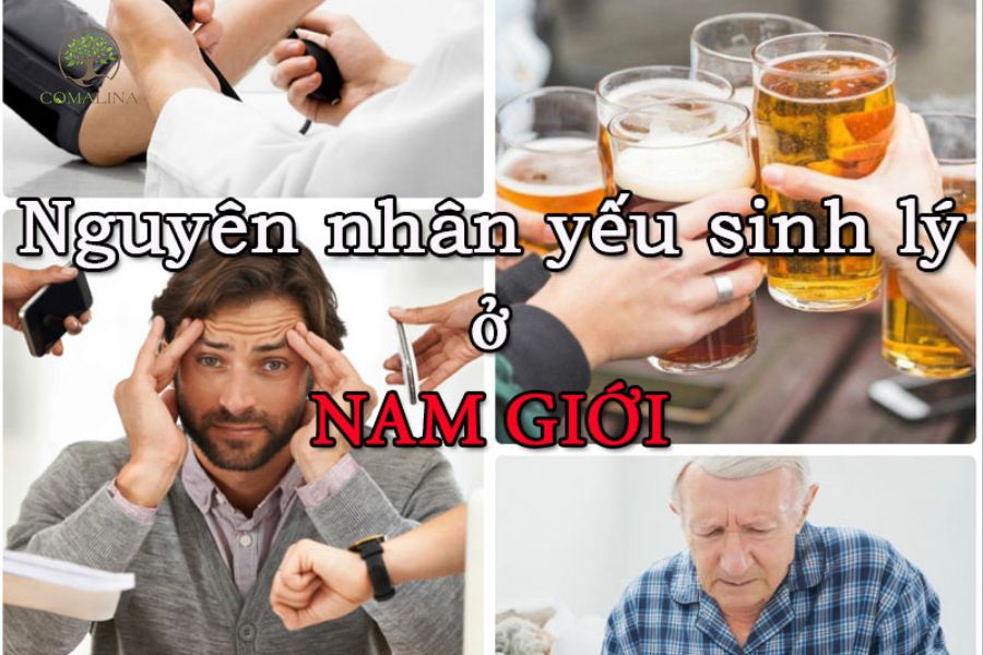 He-luy-cua-yeu-sinh-ly-2