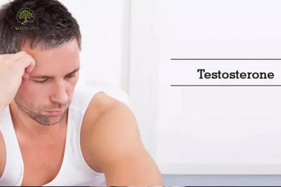 Can-bang-testosterone-2