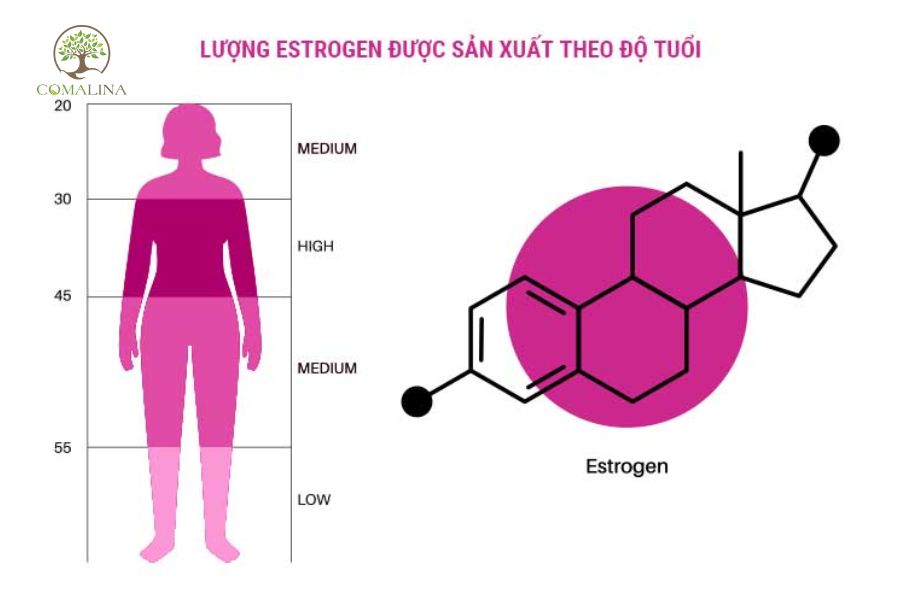 Suy-giam-noi-tiet-to-nu-1