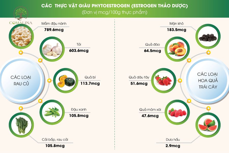 An-gi-de-tang-cuong-noi-tiet-to-nu-2